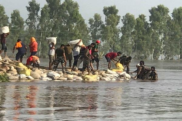 Order issued to the Food Supply Department to purchase 20000 plastic bags