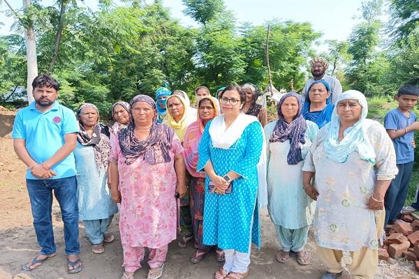 Safety assessment of all Budha/Sutlej river bridges in the district